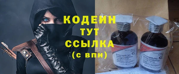 дмт Арсеньев