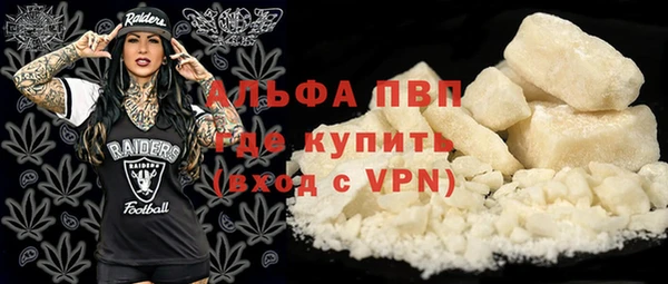 дмт Арсеньев